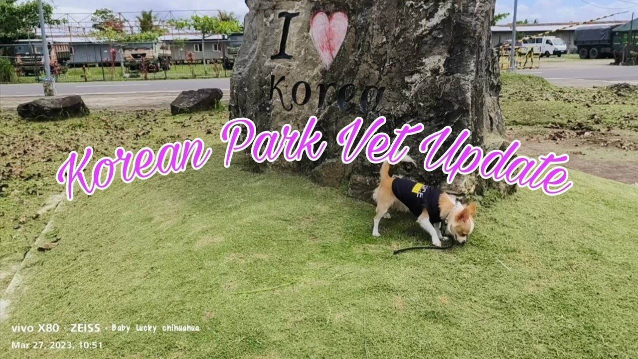 Dogtor Update For Cleaning My Ears,Gala sa Korean Park At Tabing Dagat 🤩🐶