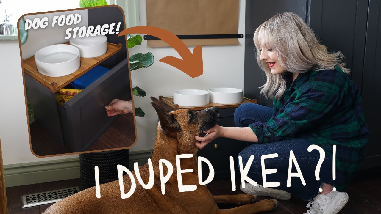 my dog deserved better...actually, so did my kitchen!  | diy eating station IKEA dupe for dog