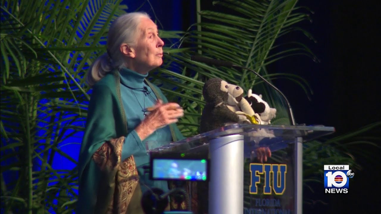 Jane Goodall brings her message to Miami-Dade