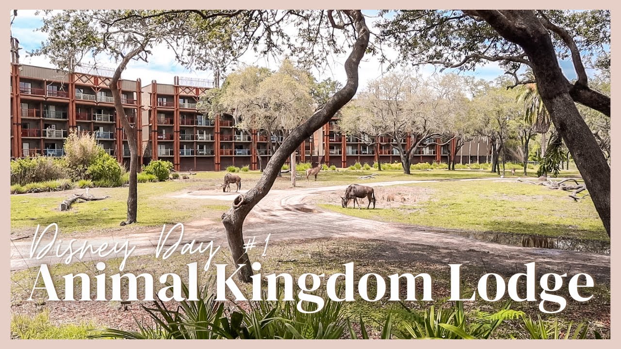Animal Kingdom Lodge Jambo House Deluxe Studio Room Tour & Working Out at Our Disney Resort