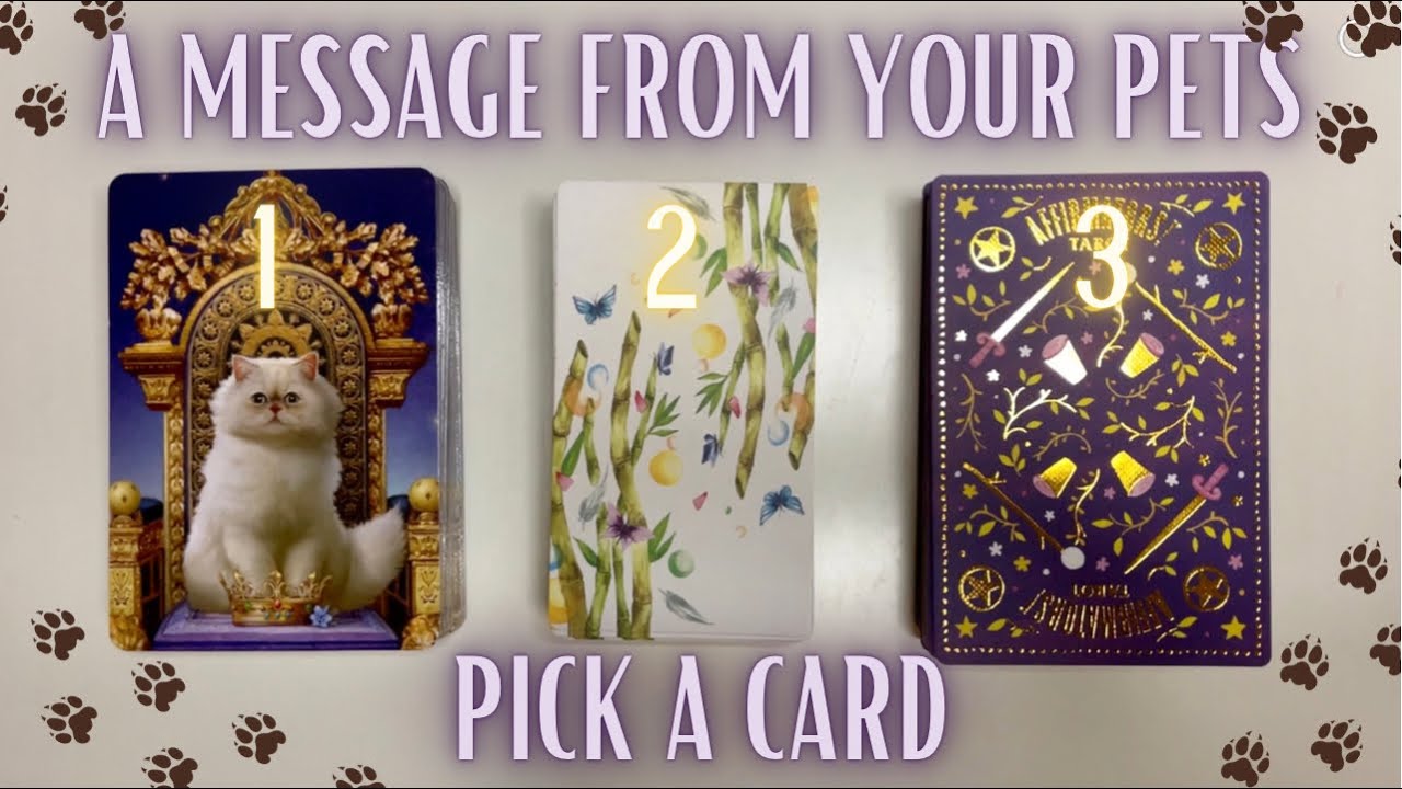 WHAT YOUR PETS WANT YOU TO KNOW🐶😸♥️| Pick a Card🔮 General Tarot Reading