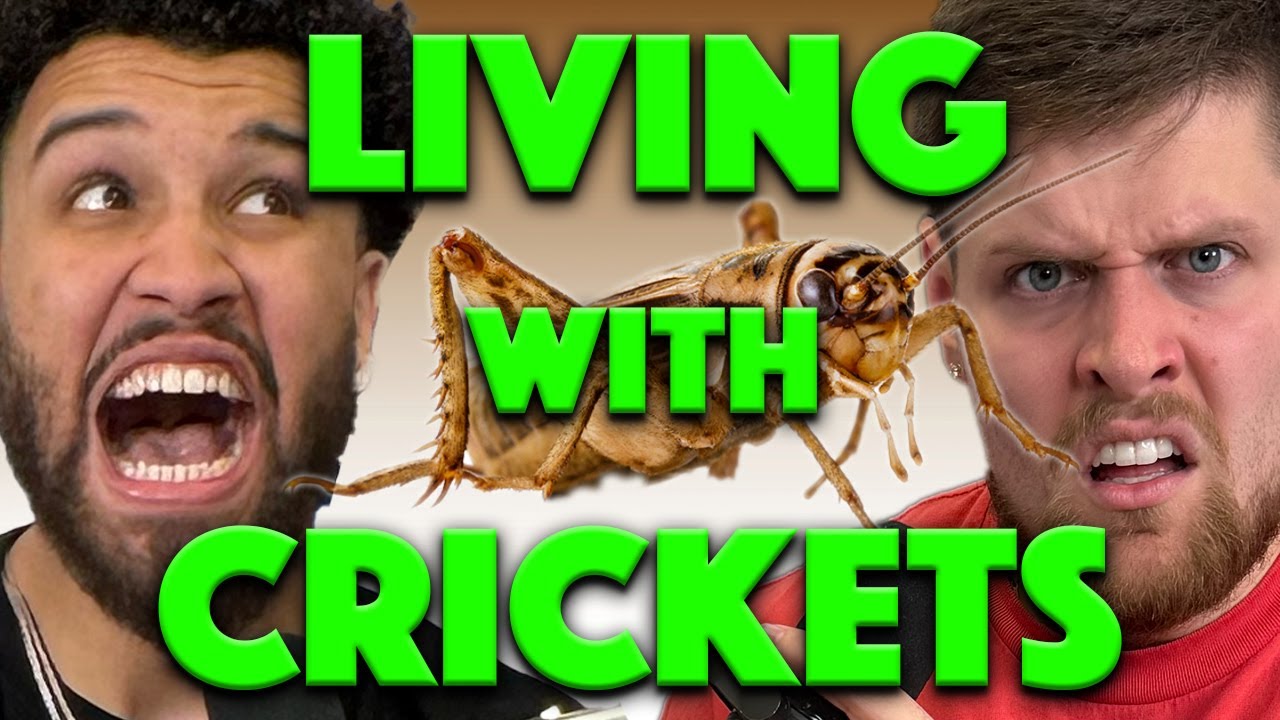 LIVING WITH CRICKETS! -You Should Know Podcast- Episode 88
