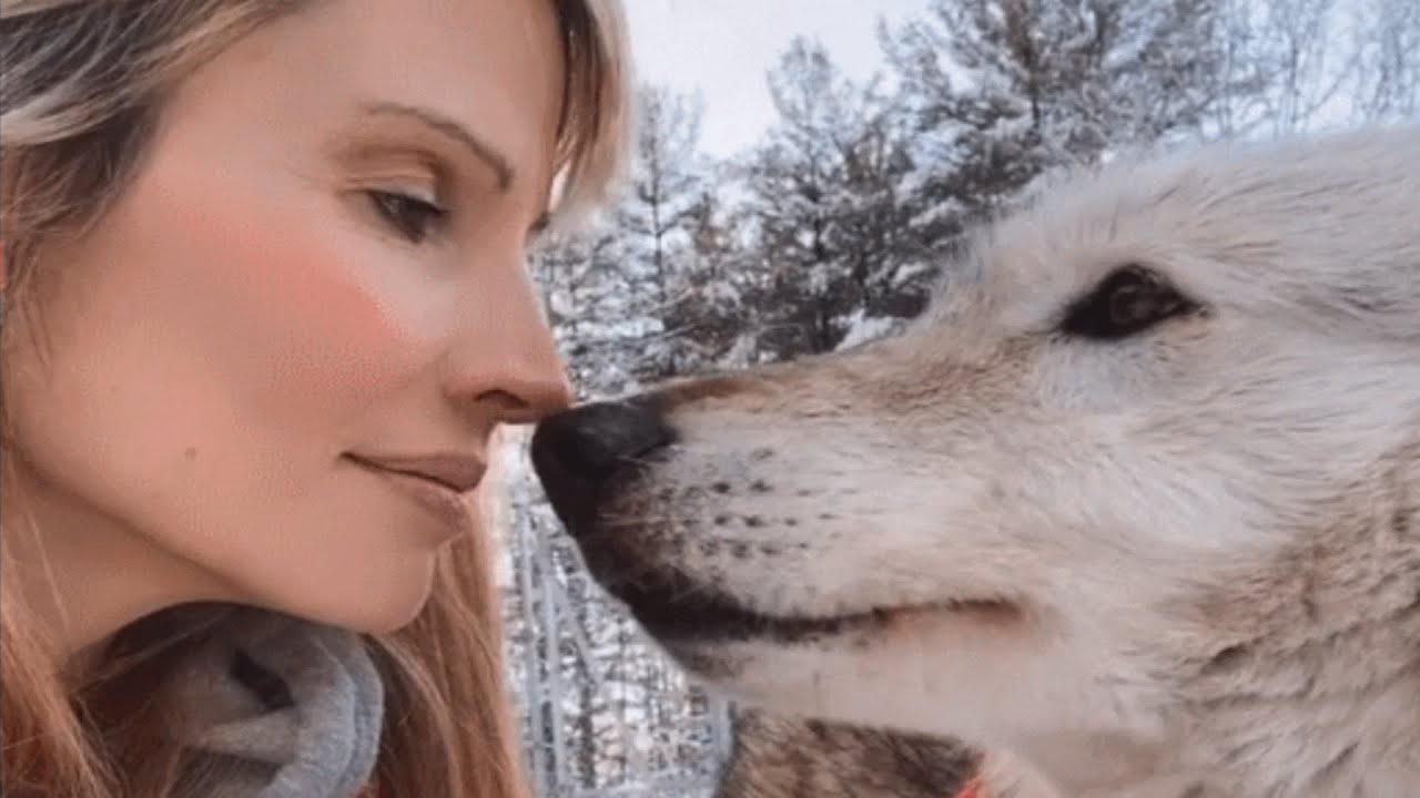 A wolf made this woman part of her pack