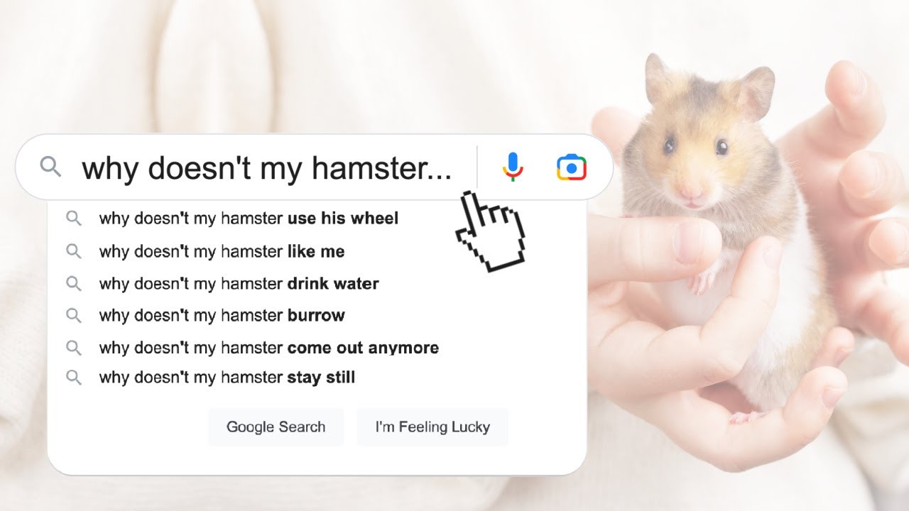 Why Doesn't my Hamster Do this? | Answering Google Questions