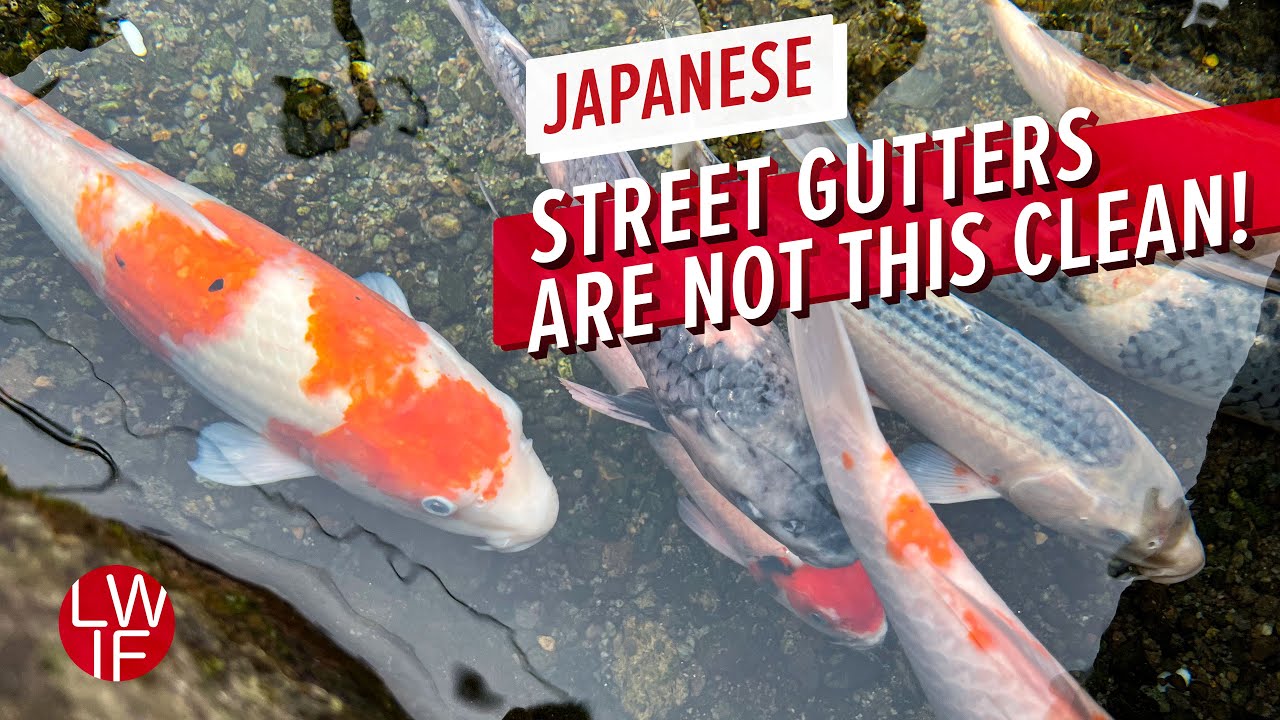 Japanese street gutters are NOT this clean