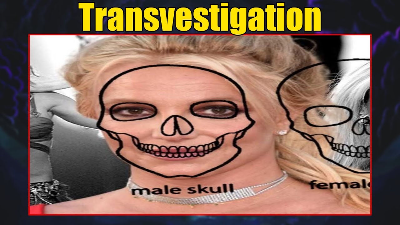 Transvestigation: Gender Detectives Unleashed!