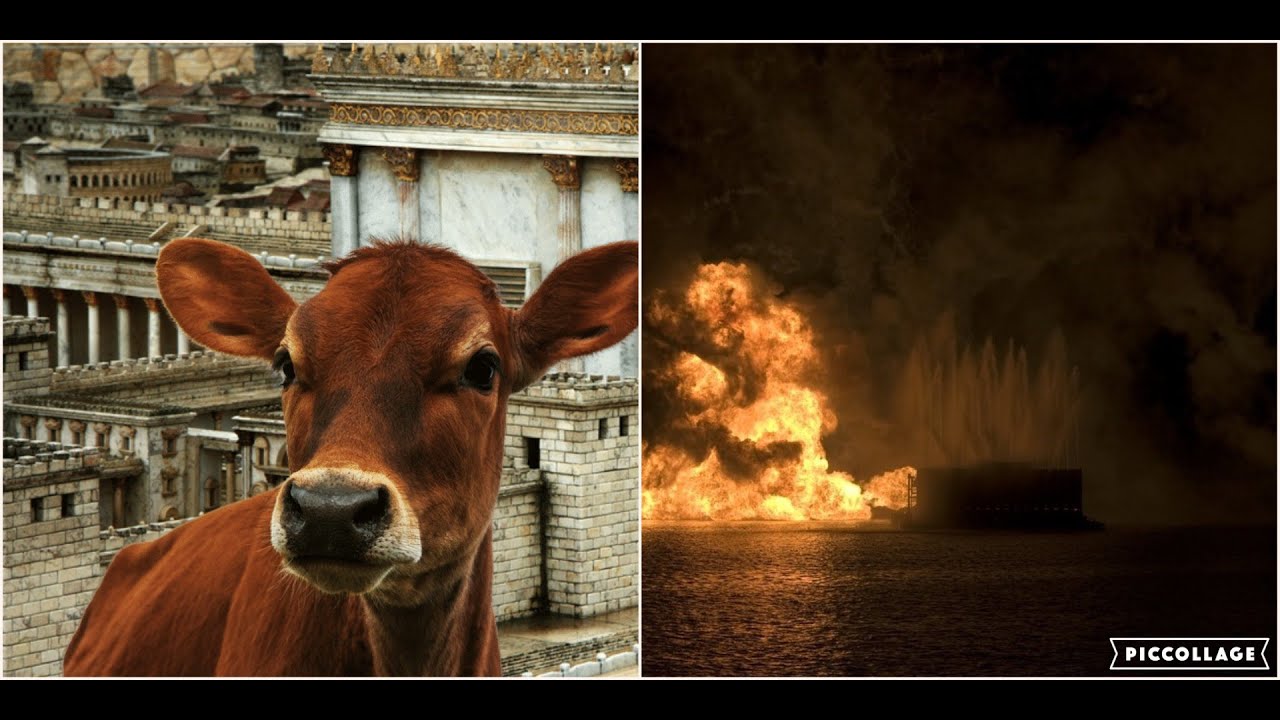 Massive Explosions In Russia And Jews And Christians Bringing Red Heifer Sacrifice
