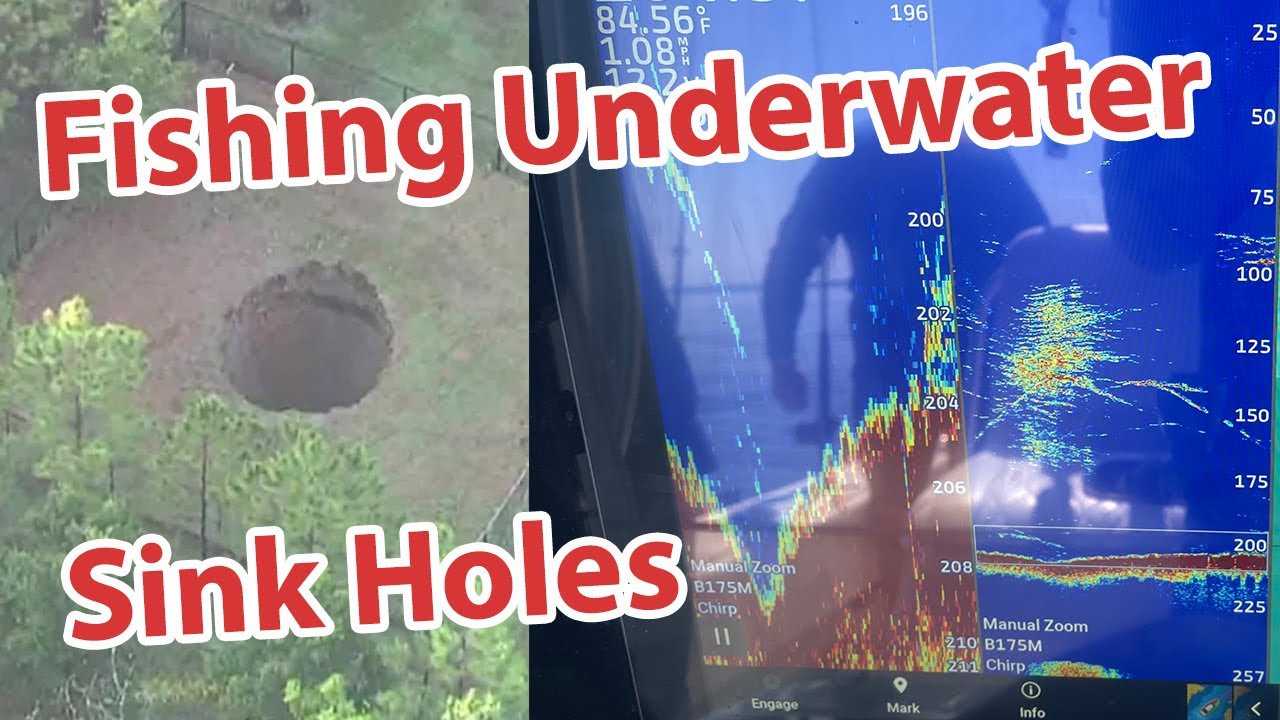 Gulf of Mexico big sinkhole loaded with sharks, barracuda and snapper