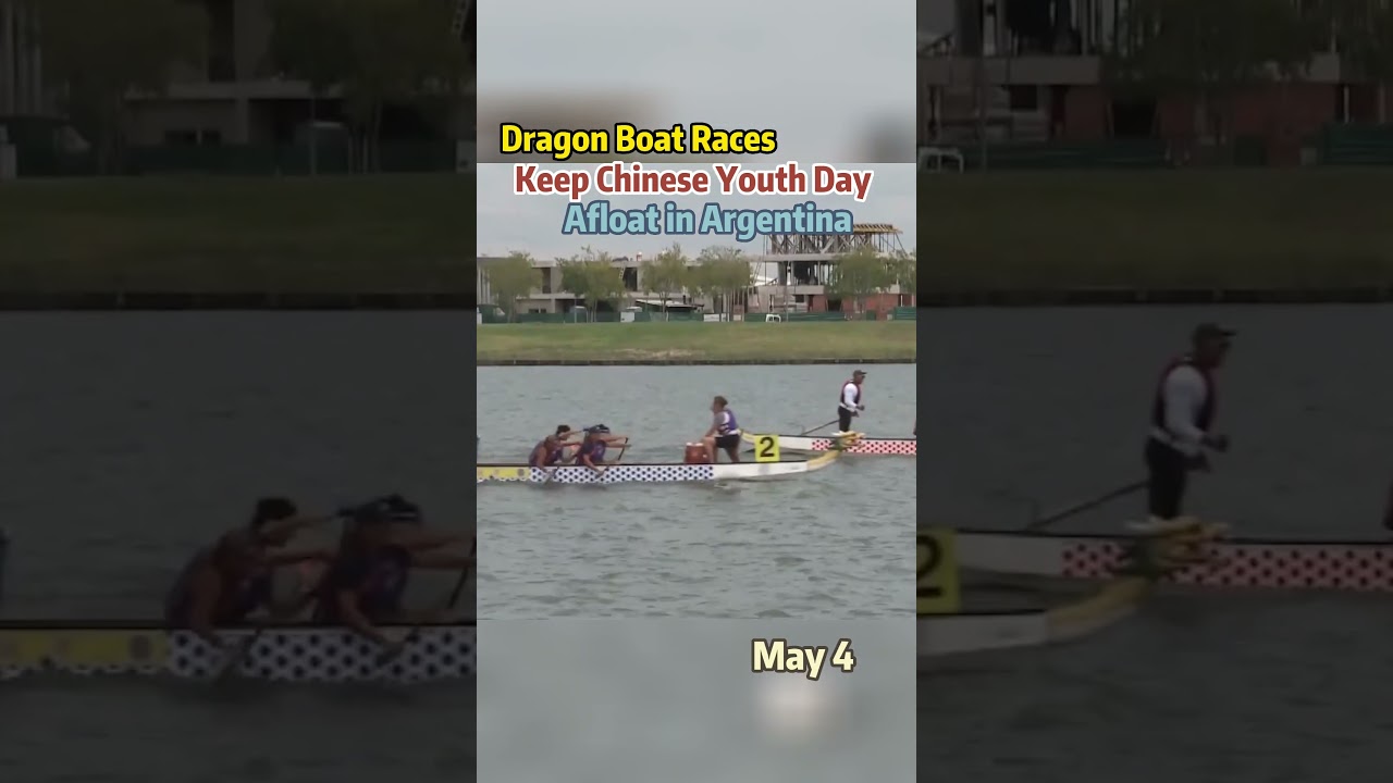 #Dragon #boat races keep #Chinese #Youth #Day afloat in #Argentina #culture #fyp