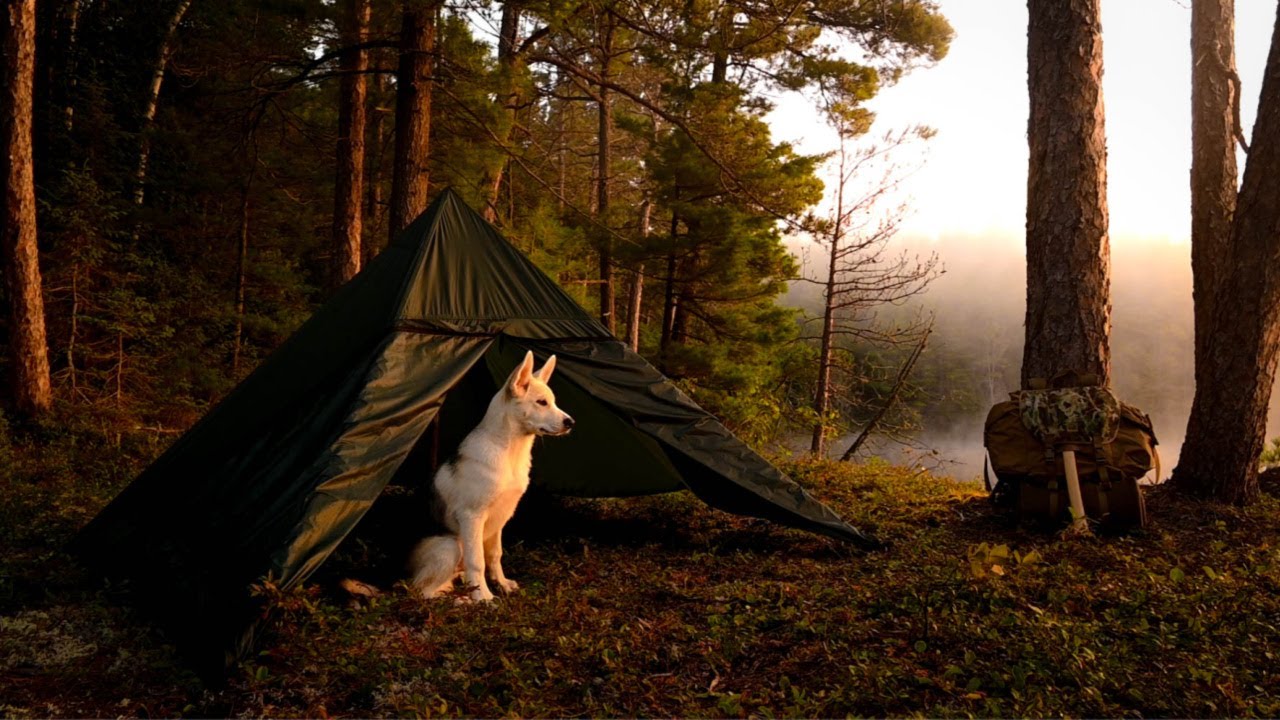 Backcountry Camping with my New Dog. American Made Axe. Tipi Tent. Testing BUSHCRAFT/CAMPING GEAR.