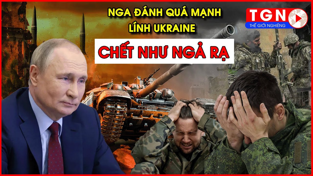 Thời sự Quốc tế tối 12/5|Nga đánh quá mạnh, hạ gục 96 đơn vị pháo, lính Ukraine chết như ngả rạ |TGN