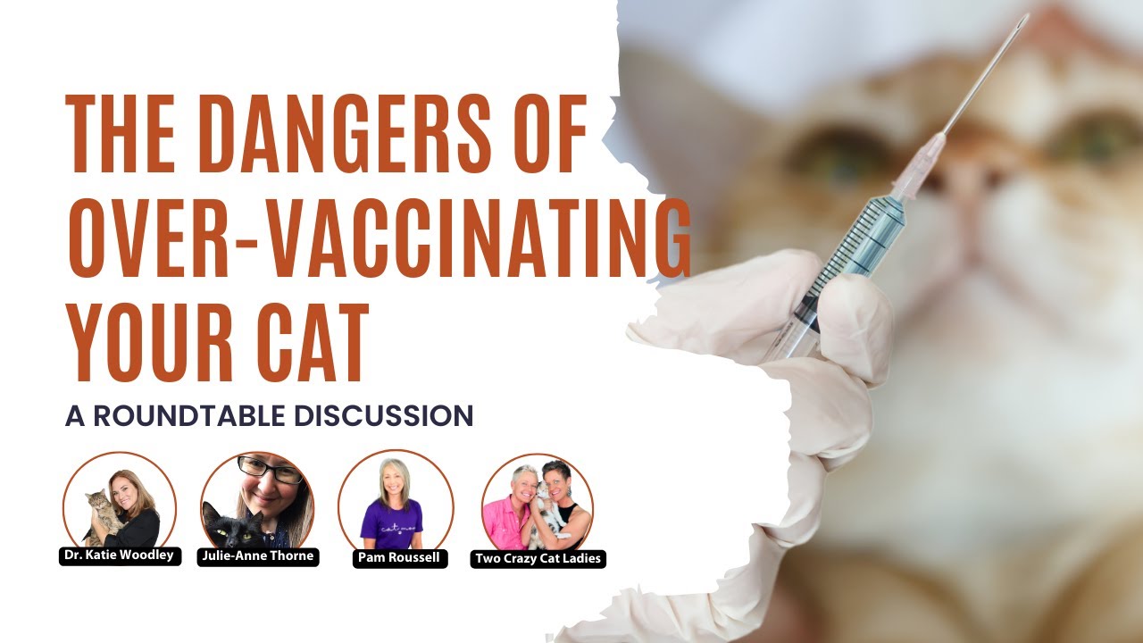 How To Avoid Over-Vaccinating Your Cats | Roundtable | Two Crazy Cat Ladies