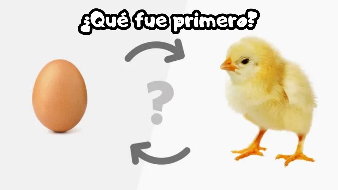 ¿Qué vino antes el huevo o la gallina? - Diferentes puntos de vista
