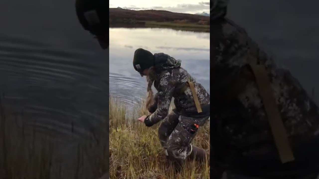 😱🎣 catching my first ARCTIC GRAYLING on a moose hunt in Alaska ✨