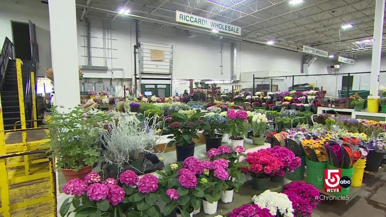 Ever wonder where New England florists get their flowers?