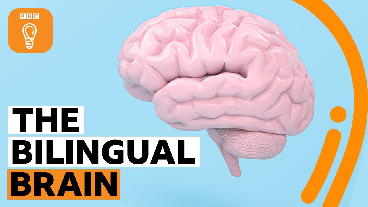 Why being bilingual is good for your brain | BBC Ideas