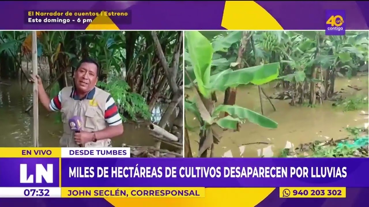 Tumbes: miles de hectáreas de cultivos desaparecen por lluvias en la zona