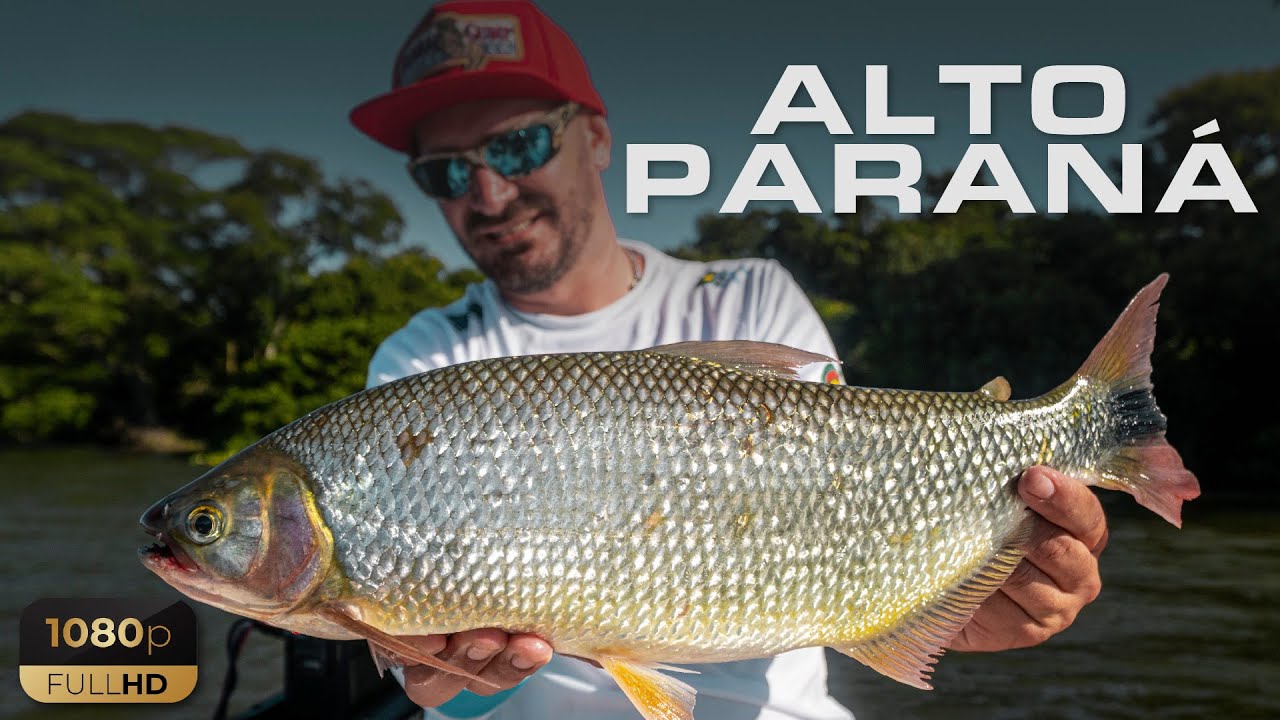 Baitcast en el Alto Paraná - Pesca de Pacú y Pira Pitá