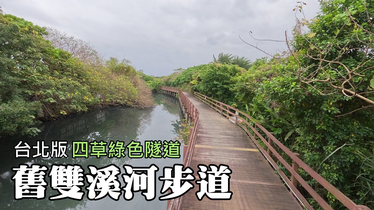 台北版「四草綠色隧道」～舊雙溪河步道