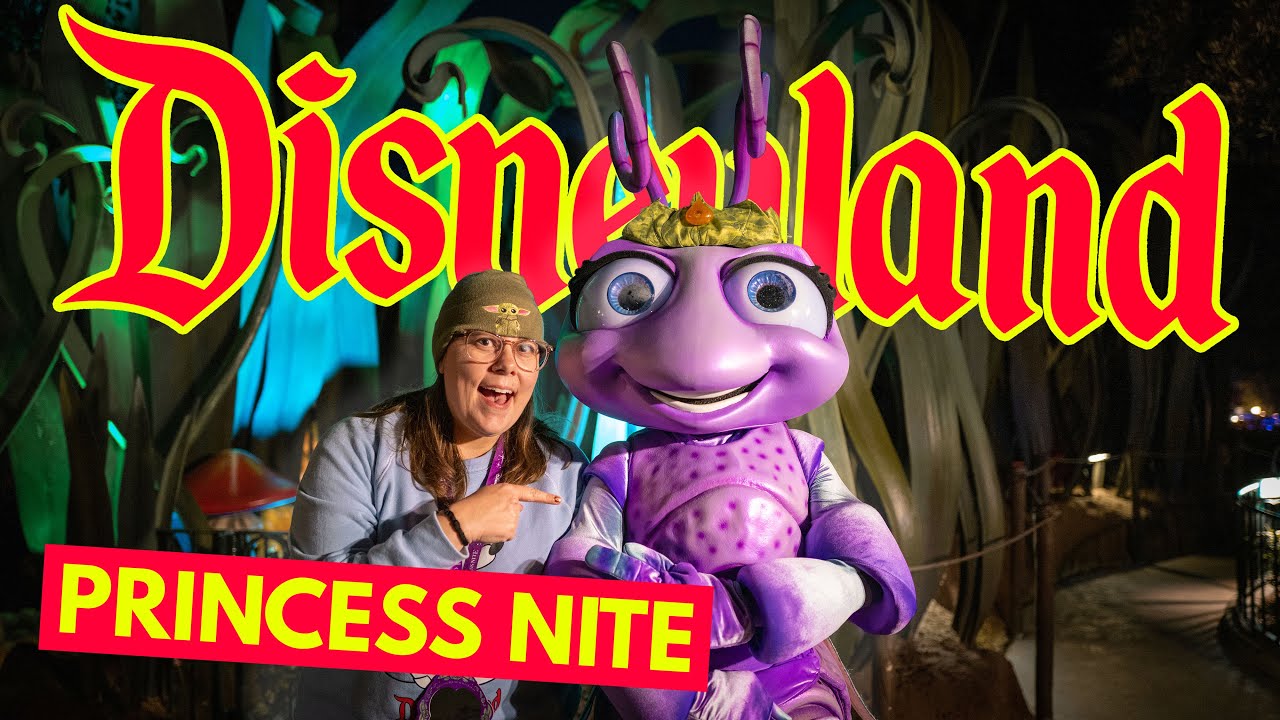Disneyland’s Princess Nite Was Not What We Expected!