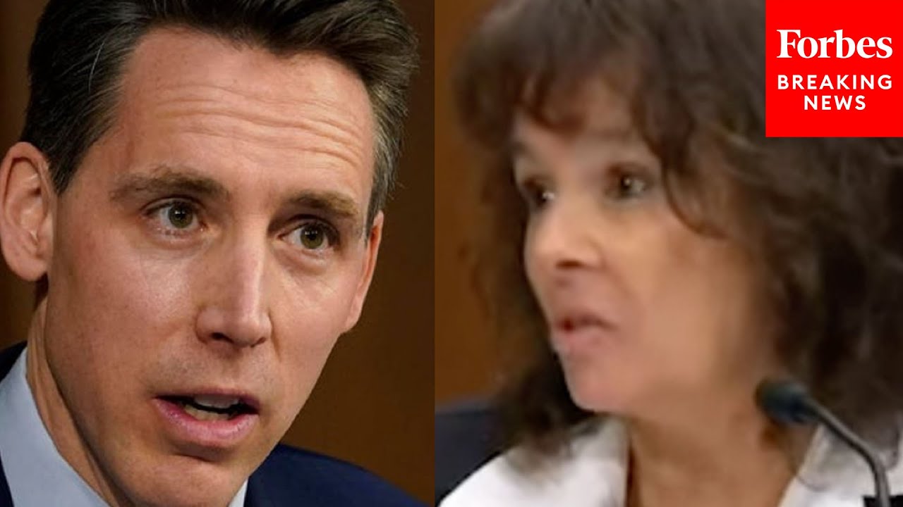 'This Is A Very Significant Problem': Josh Hawley Questions Witness About Threats To Hospitals