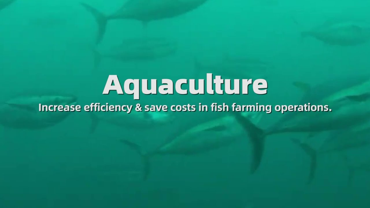 Increase Efficiency & Save Cost in Fish Farming Operations | QYSEA.FIFISH Aquaculture Underwater ROV