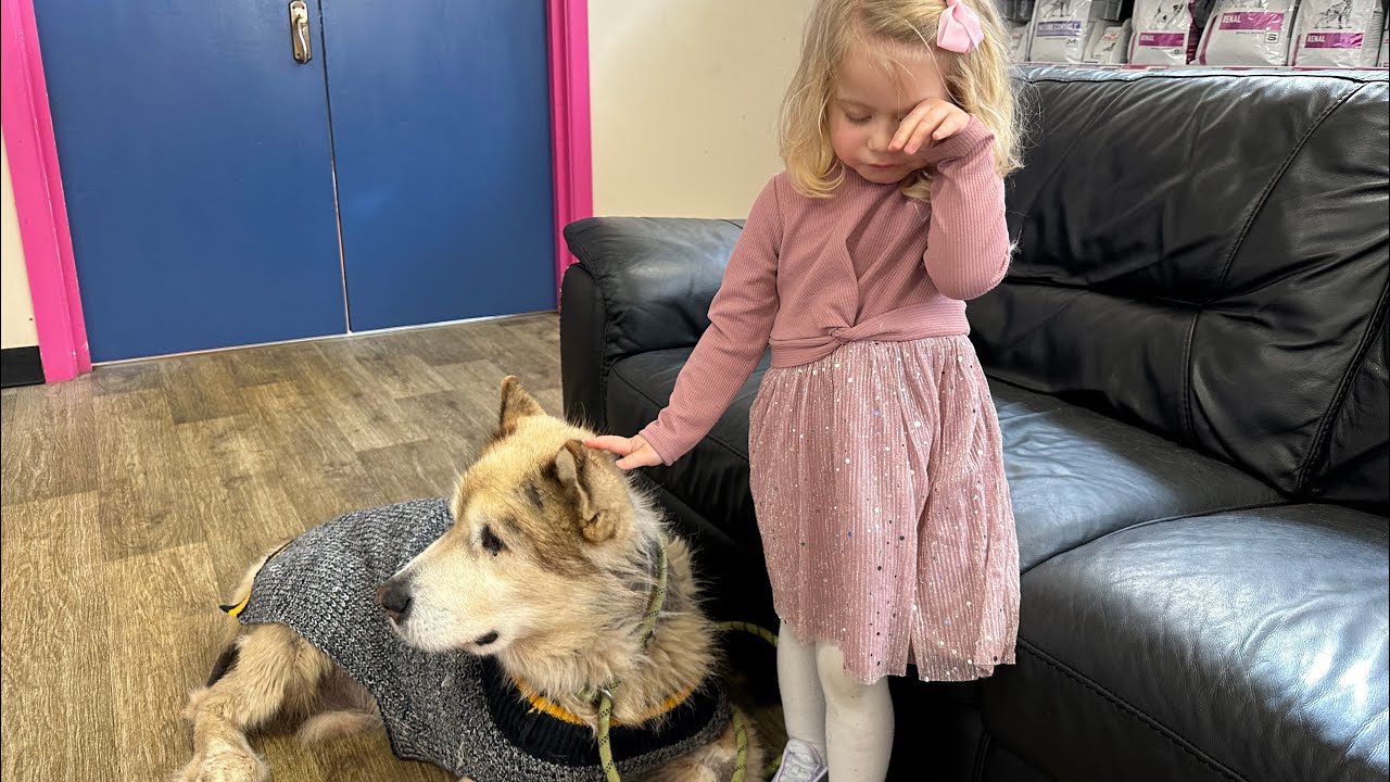 Adorable Little Girl Takes Her Sad Dog To The Vet! (Cutest Ever!!)
